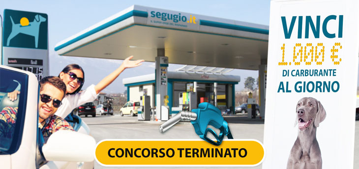 pieno da 1000 euro con segugio pieno da 1000 euro con segugio