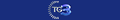 Logo TG3 Rai