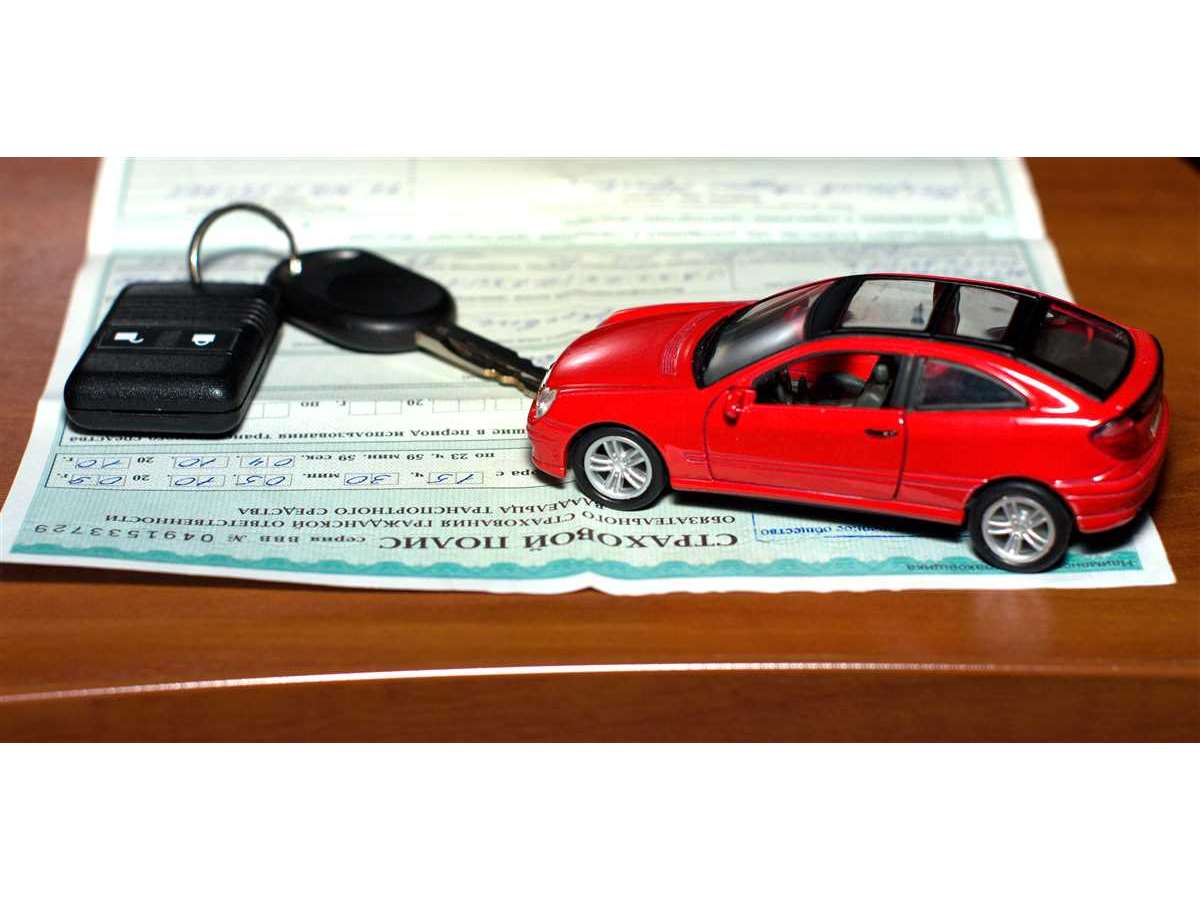 Porta Documenti Auto Sterling &ndash; Titolare Assicurazione E Registrazione, Nero, Con Etichette