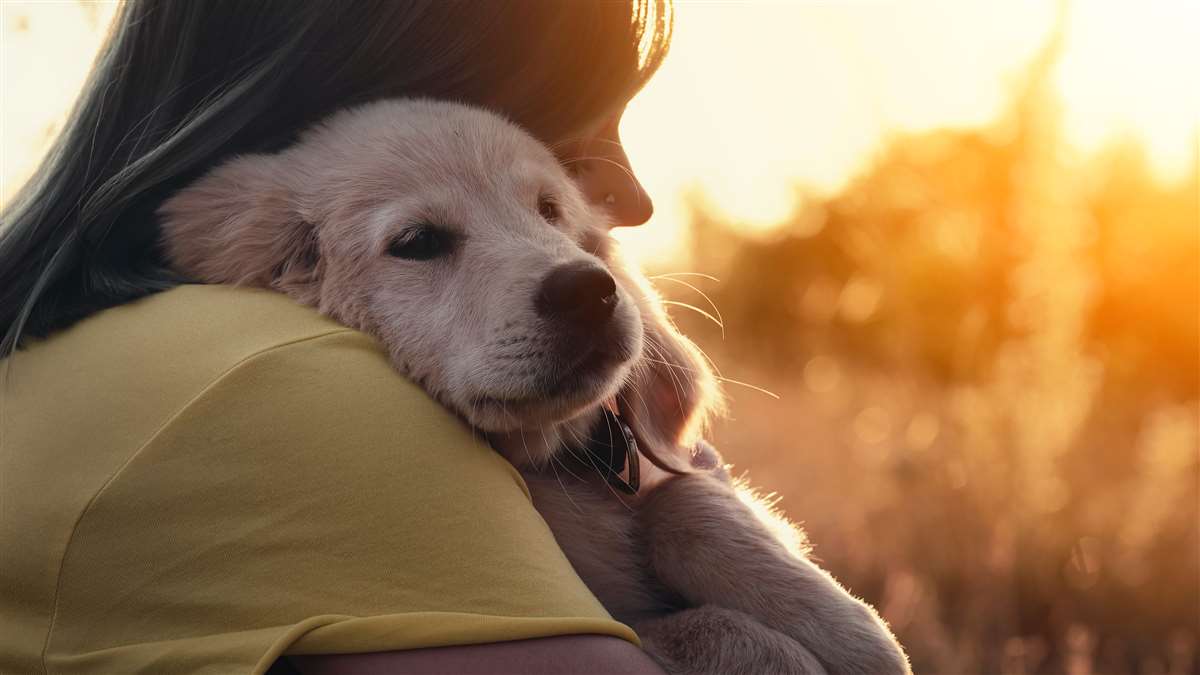 Come proteggere il tuo pet con l'assicurazione giusta? cane in braccio al padrone