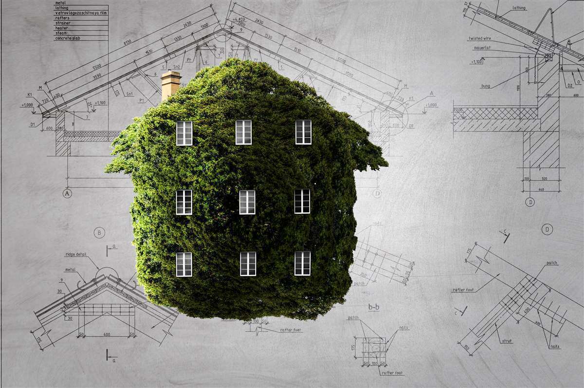 casa fatta di siepe verde su un foglio con disegnato il progetto di una casa