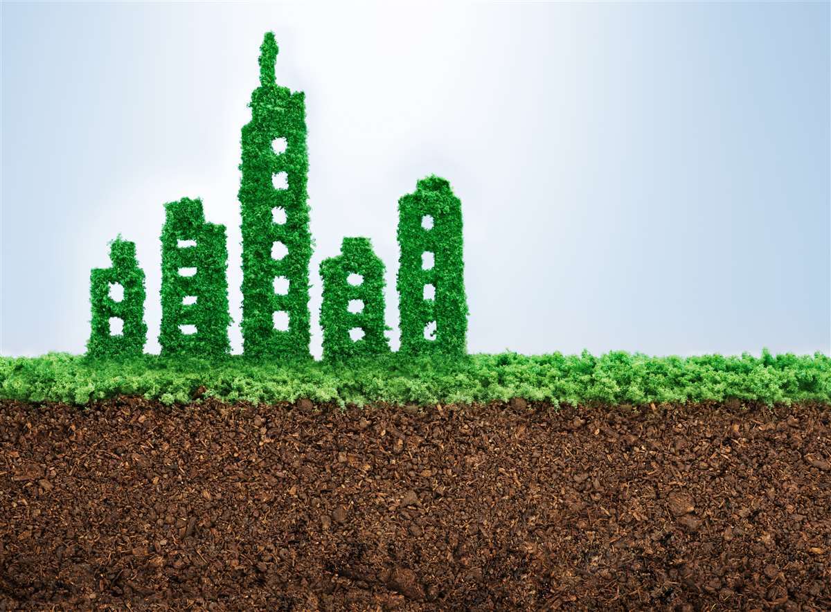 palazzi green