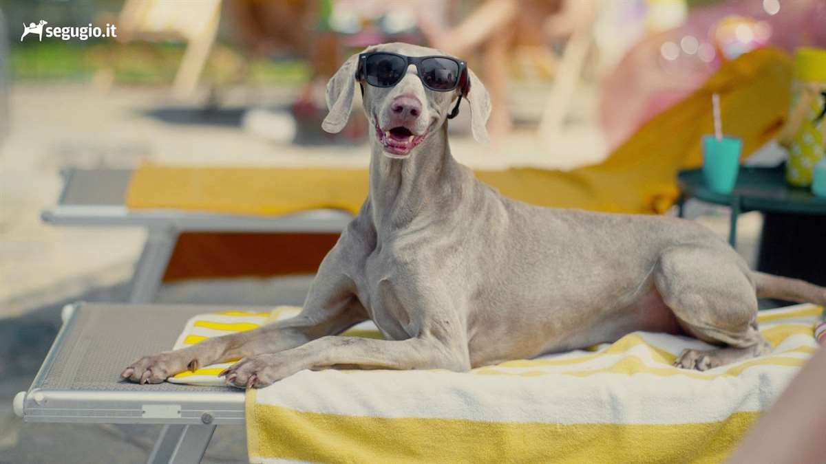 Al via il nuovo spot di Segugio.it: contro il caro-spese, confrontare conviene