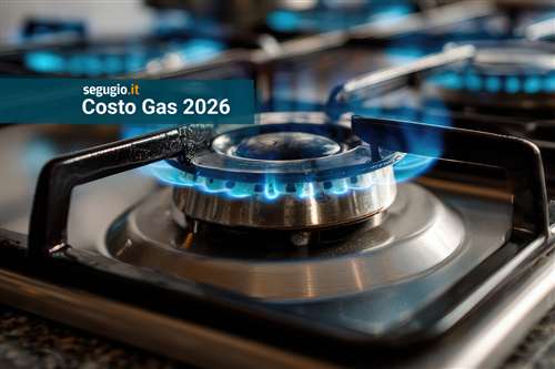 quanto costa uno standard metro cubo di gas?