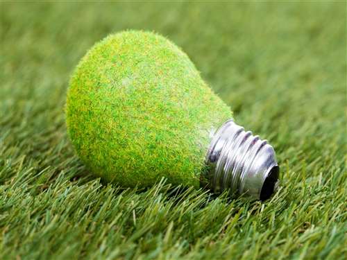 Come scegliere un gestore elettrico green?