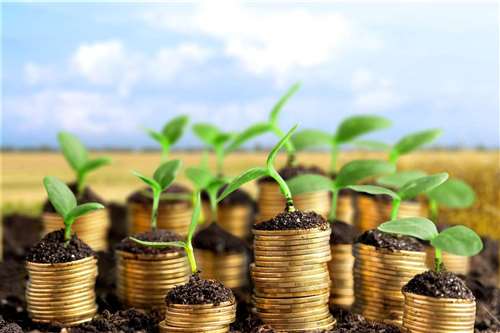 Ristrutturazione sostenibile: il successo dei prestiti green