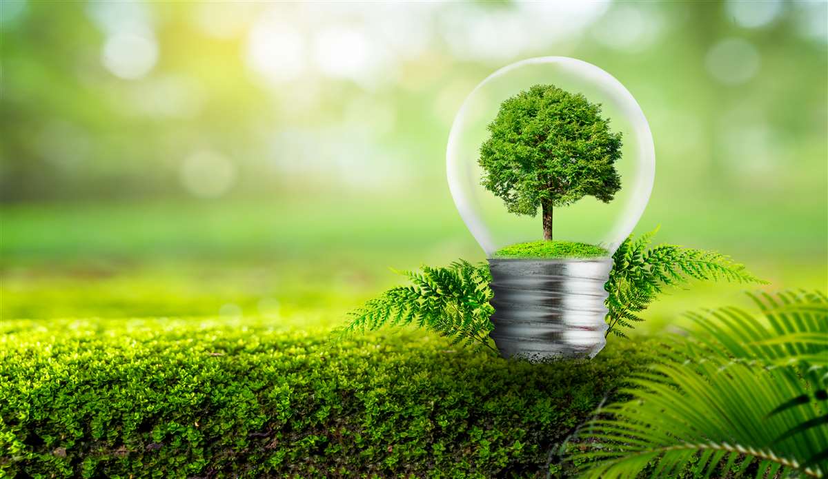 moda ed energia elettrica lampadina contenente un albero, posata su un prato