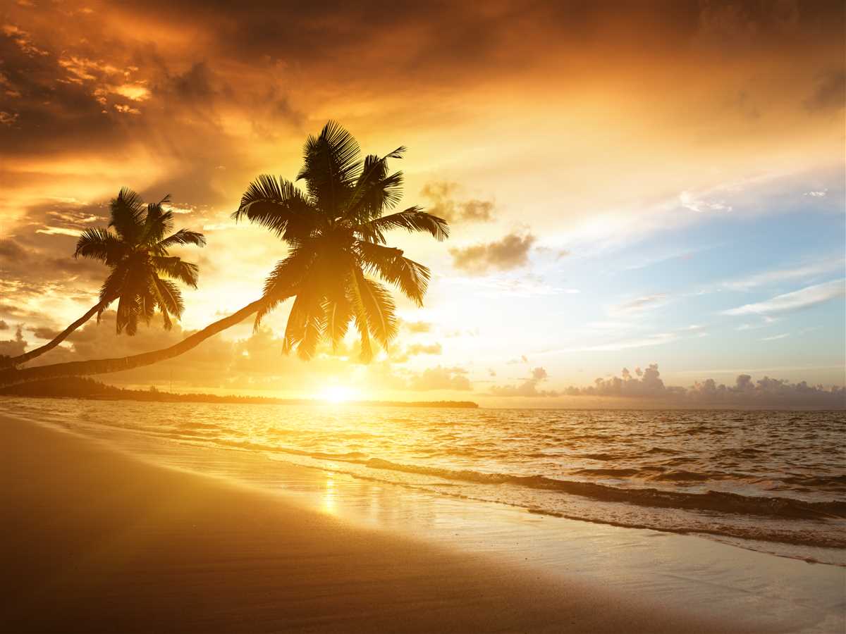 sole all'orizzonte con spiaggia e palme in primo piano