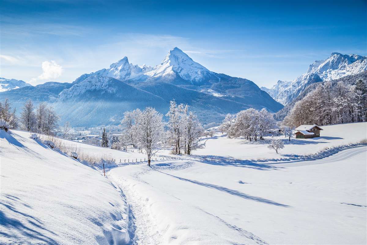 paesaggio invernale con alberi e cime delle alpi