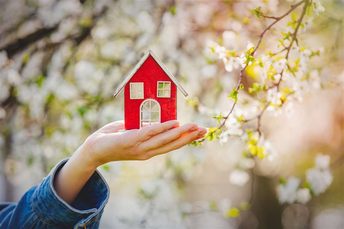 mano di una giovane regge piccola casa rossa vicino ad albero in fiore