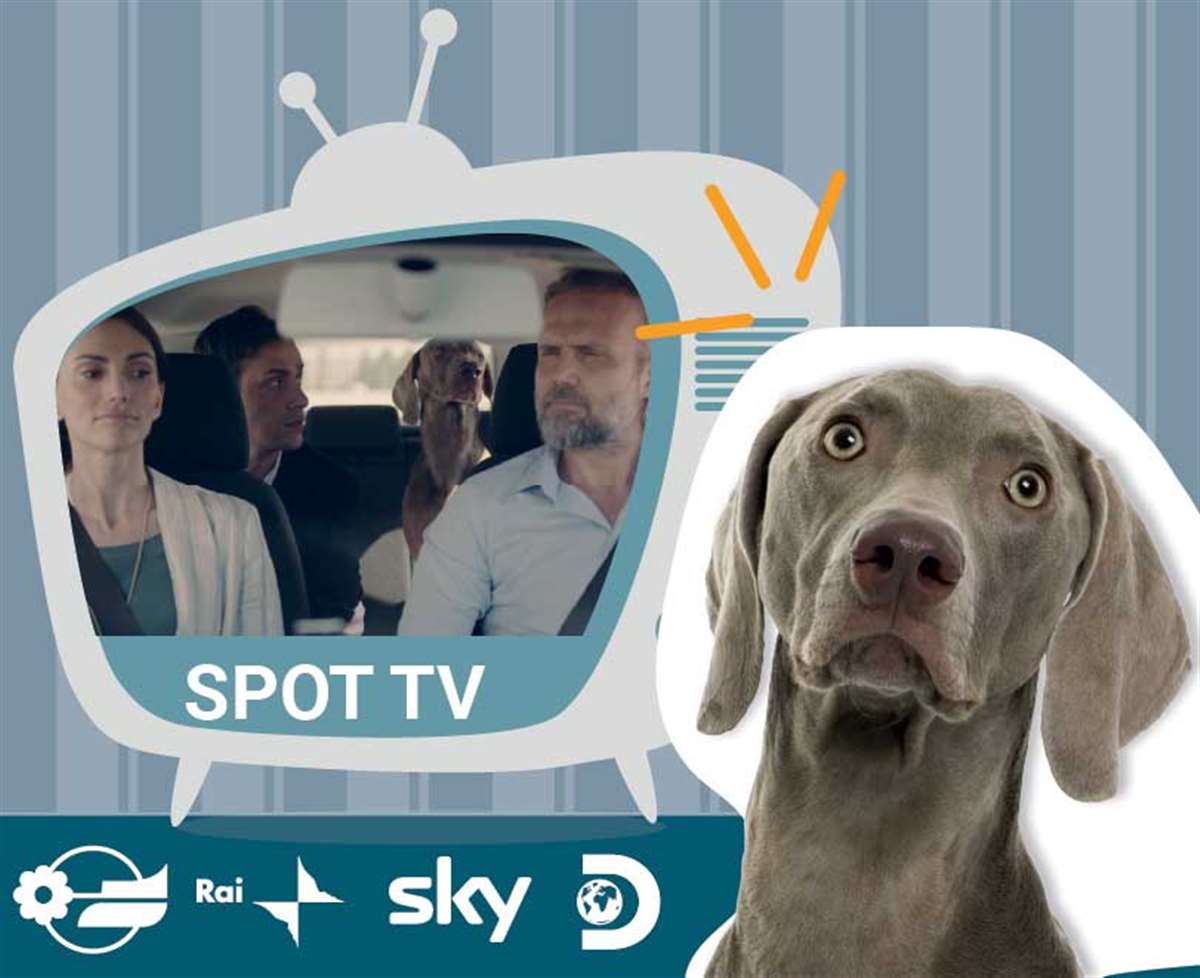 lo spot di segugio a luciana littizzetto e lo spot di segugio a