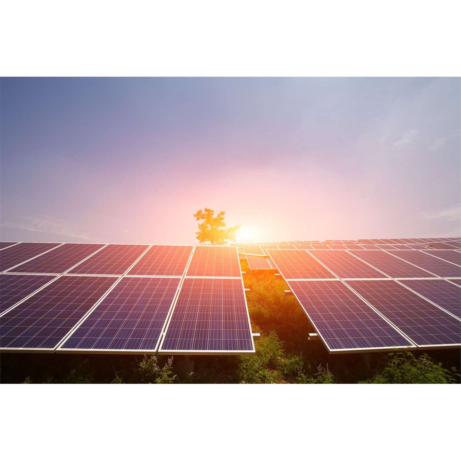 Ottimizzatore Fotovoltaico 600W: Massimizza L'efficienza Dei Pannelli Solari, IP68, Compatibile Con La Maggior Parte Dei Modelli
