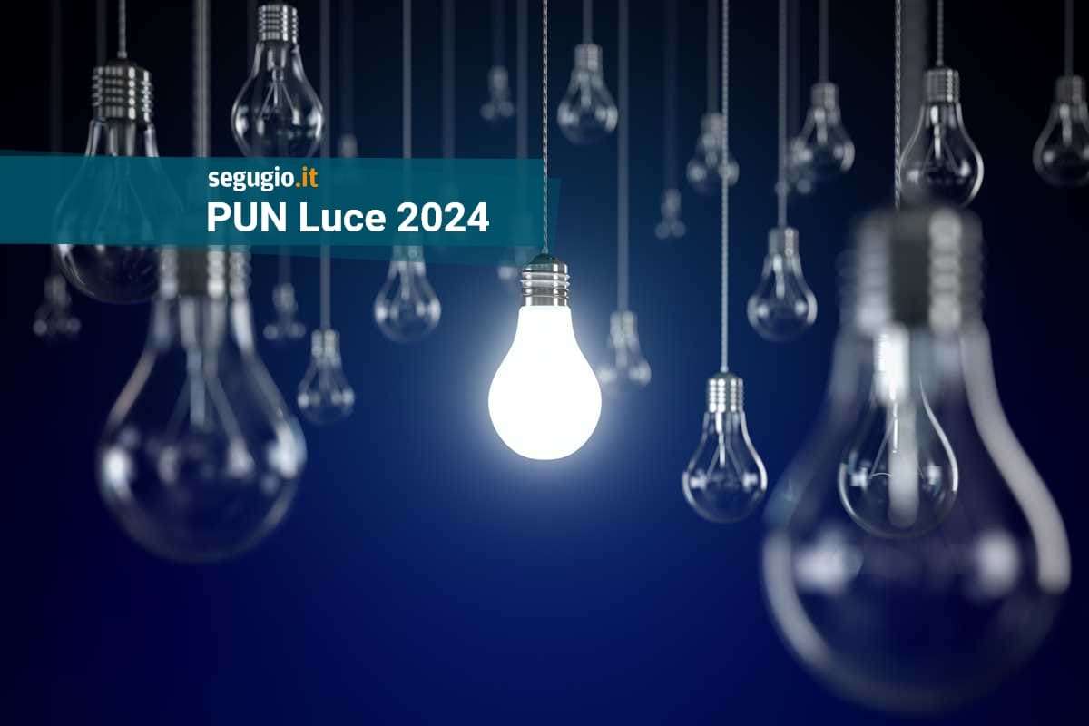 pun luce 2024