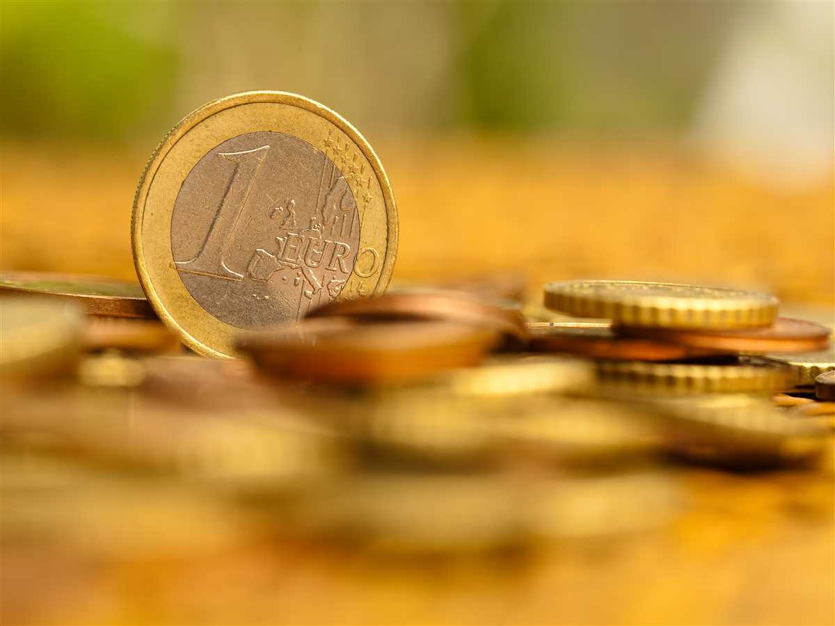 euro in monete