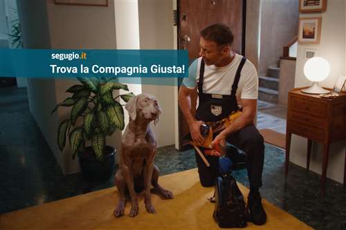 Al via il nuovo spot di Segugio.it alla ricerca della compagnia giusta