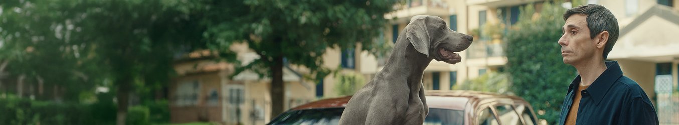 Assicurazioni online