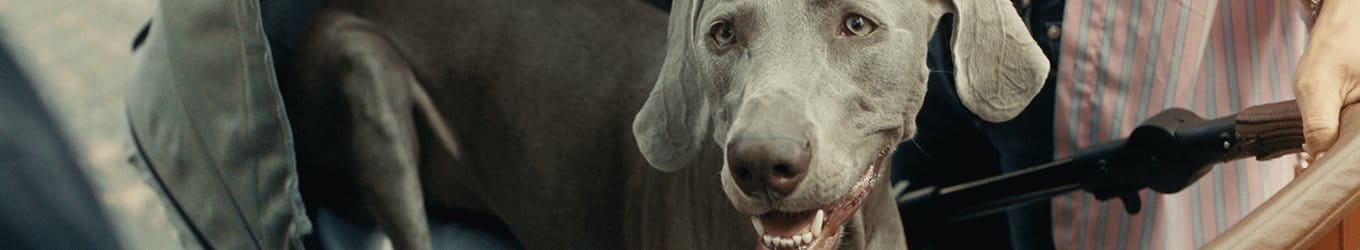 Confronto delle migliori offerte Internet casa e mobile per una connessione veloce e conveniente