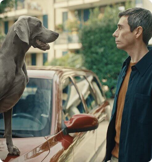 Immagine testimonial 'I vantaggi di Segugio.it'