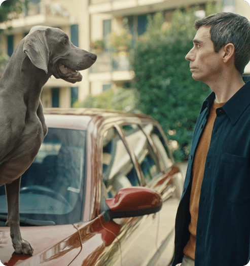 Scopri i vantaggi di Segugio.it Immagine testimonial 'I vantaggi di Segugio.it'