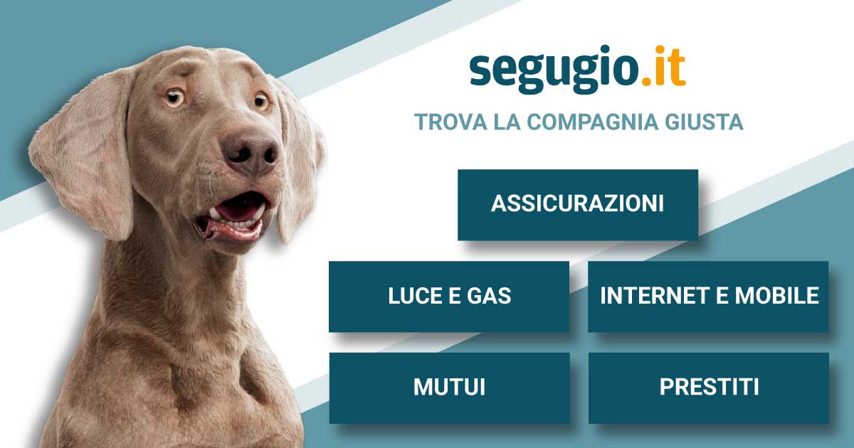 (c) Segugio.it