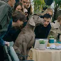 Il Super Eroe del Risparmio