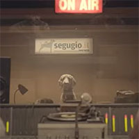 Abolito il tacito rinnovo polizze auto e moto