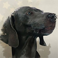 Il Super Eroe del Risparmio