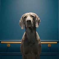 Il Super Eroe del Risparmio